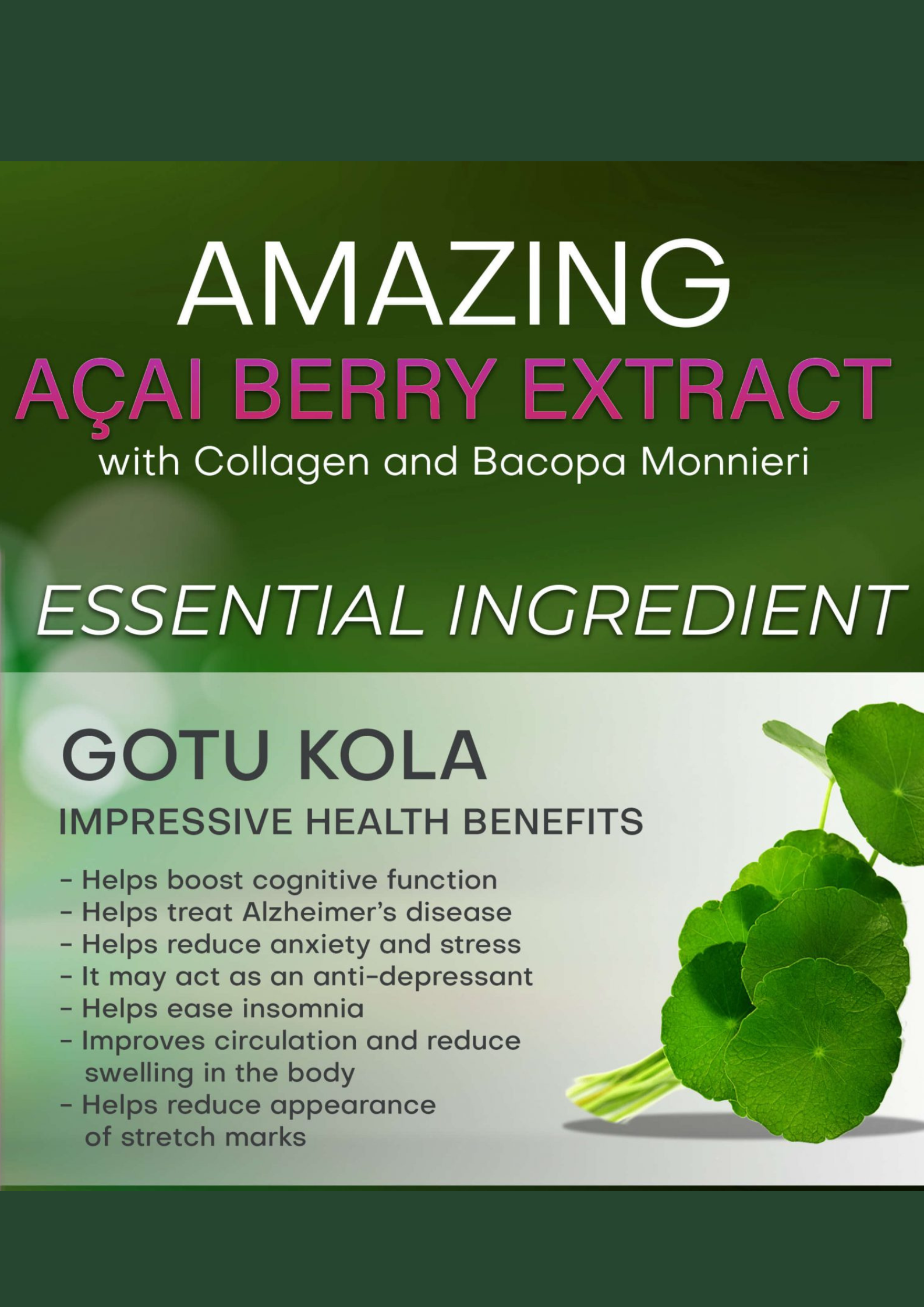 Gotu Kola Ingredient