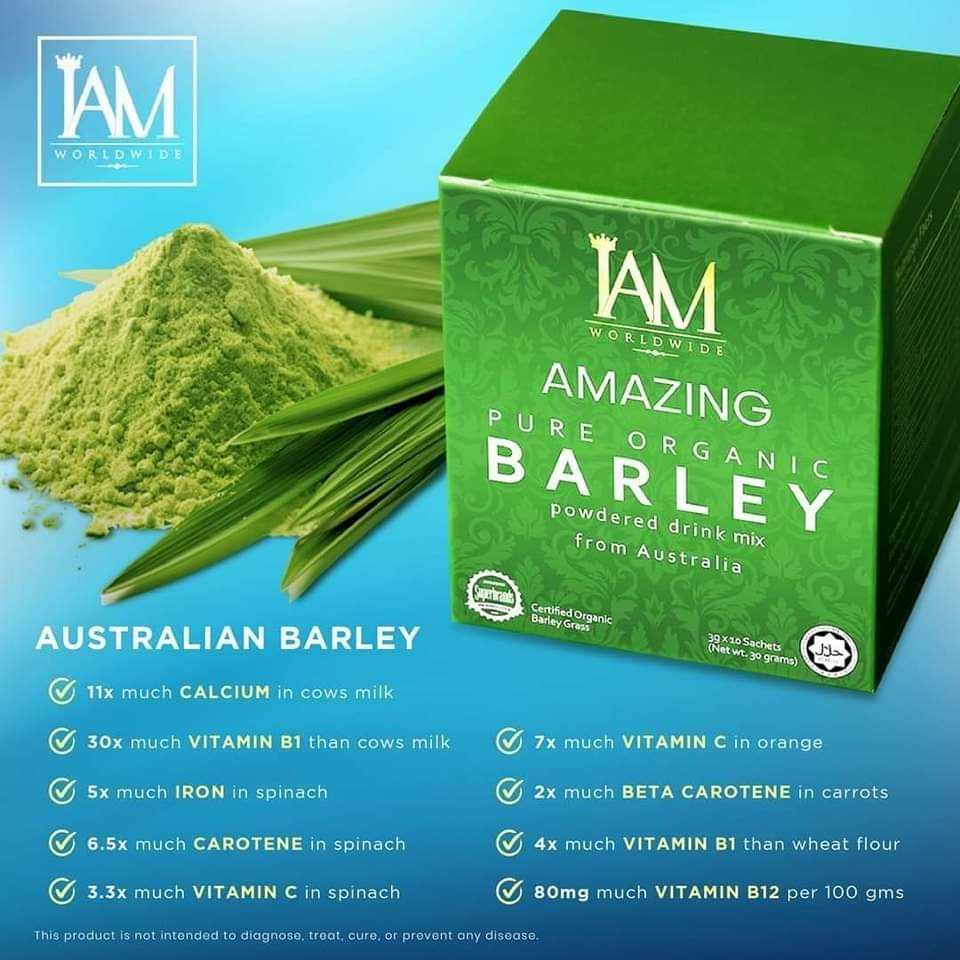Australian Barley Grass