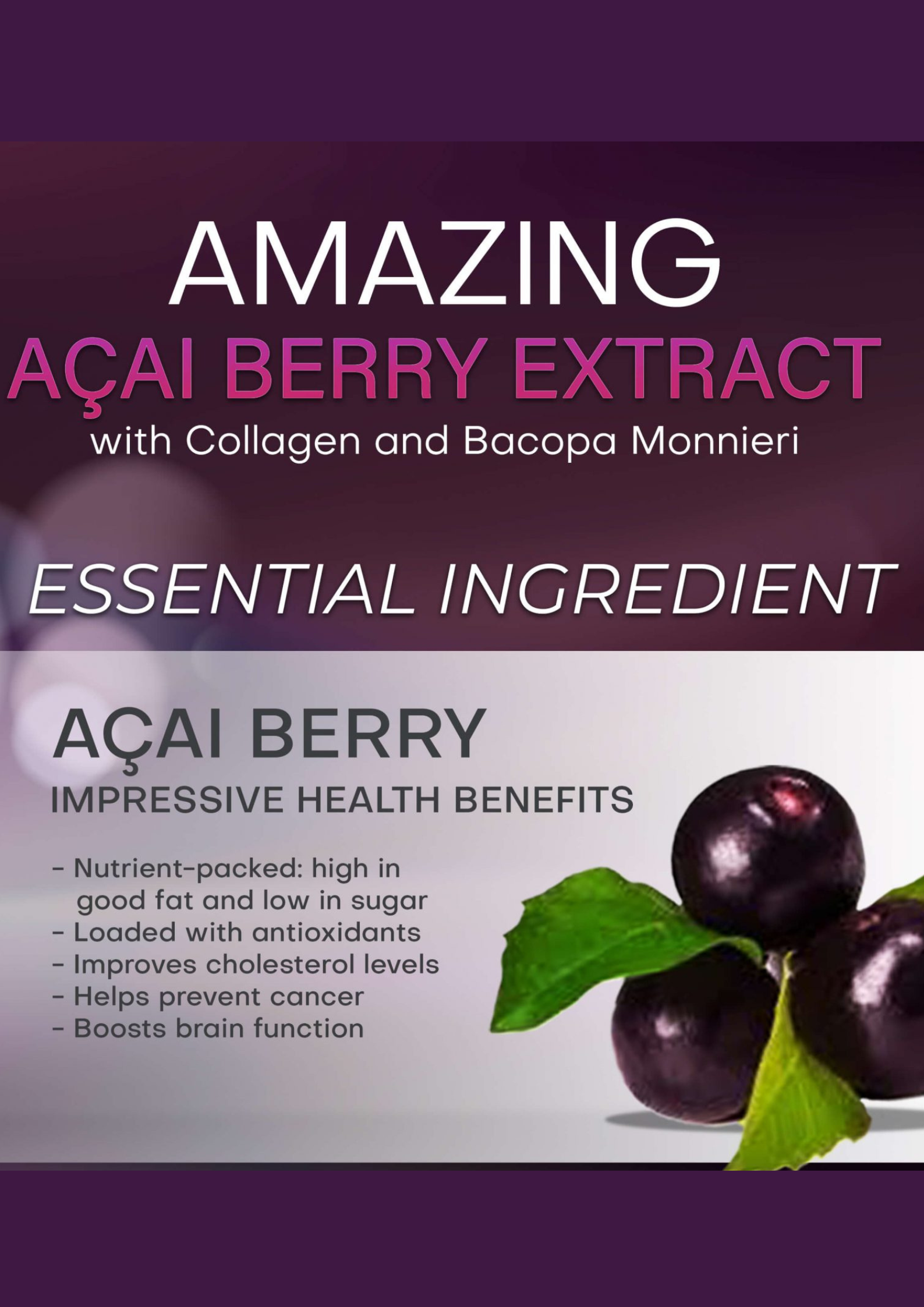Acai Berry Ingredient